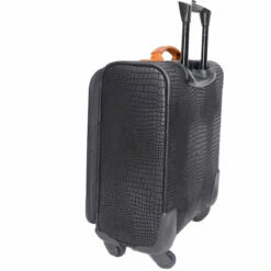 Bric's Mysafari 20" Wide-Body Expandable Spinner -US Suitcase Sales 2024 BAY04598.101.5