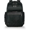 Briggs & Riley @Work Large Cargo Backpack